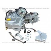 Двигатель Дельта/Альфа/Актив 125cc механика